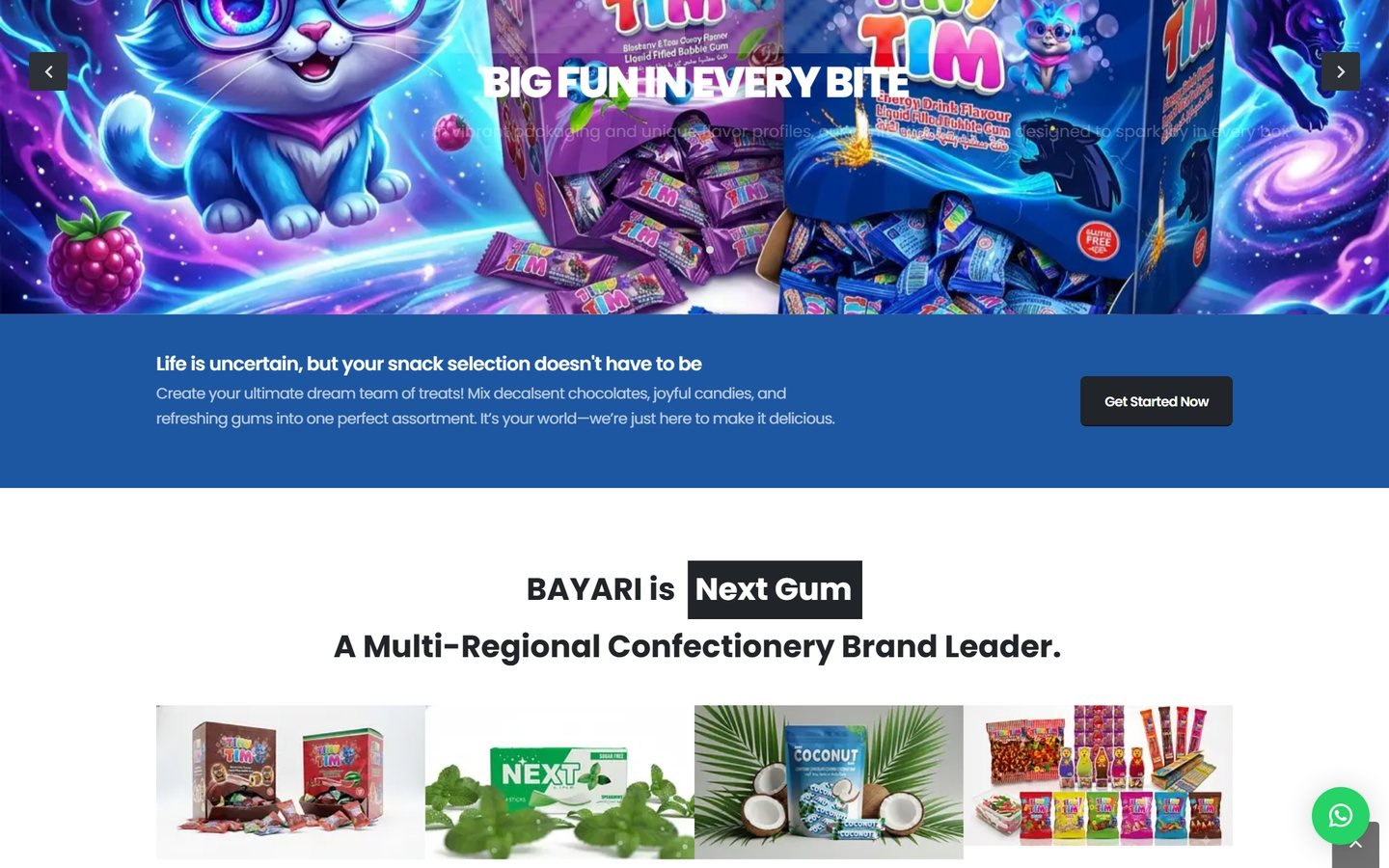 Bayari Gıda website