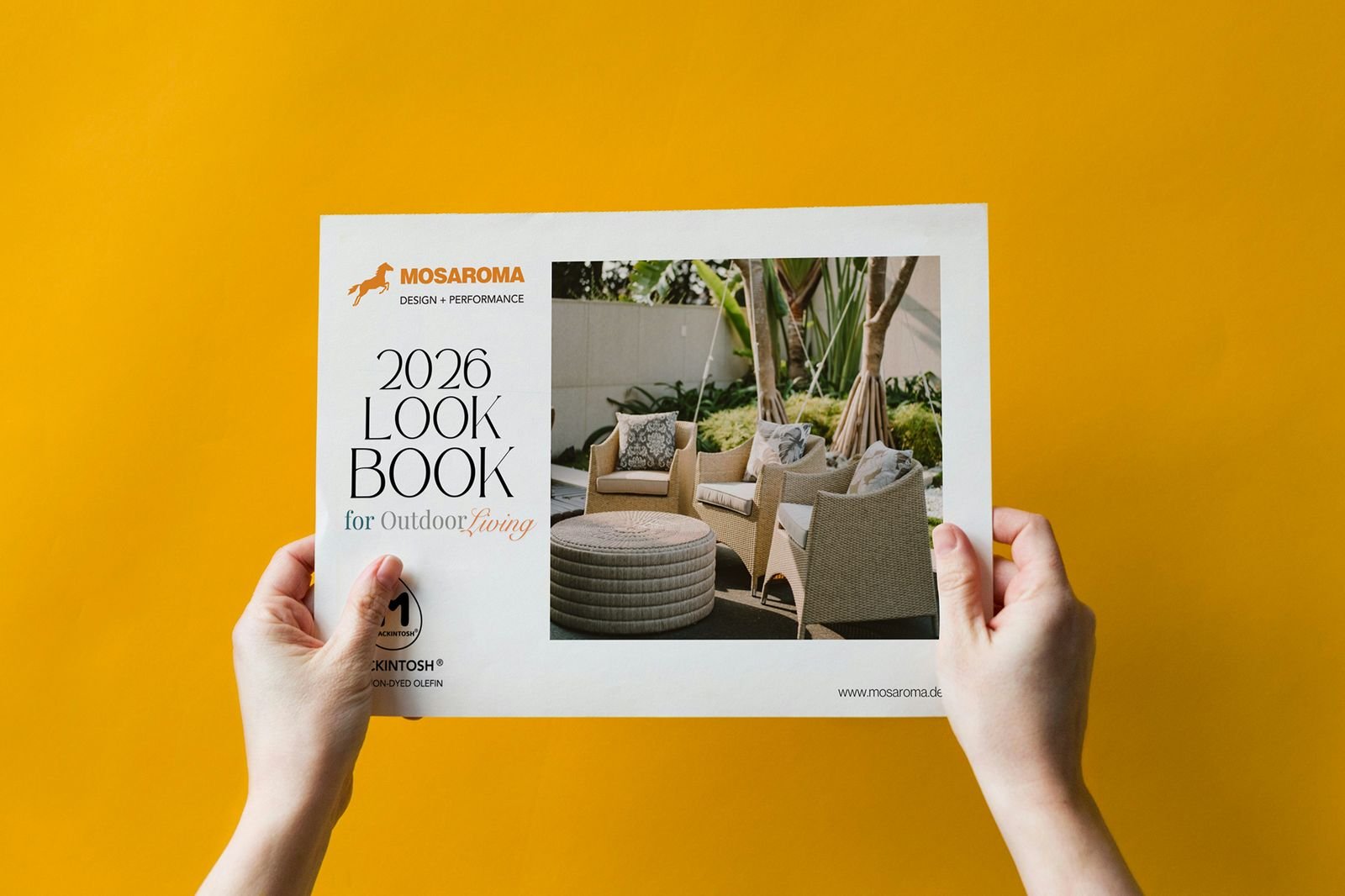 Brochure & Catalogue — 2