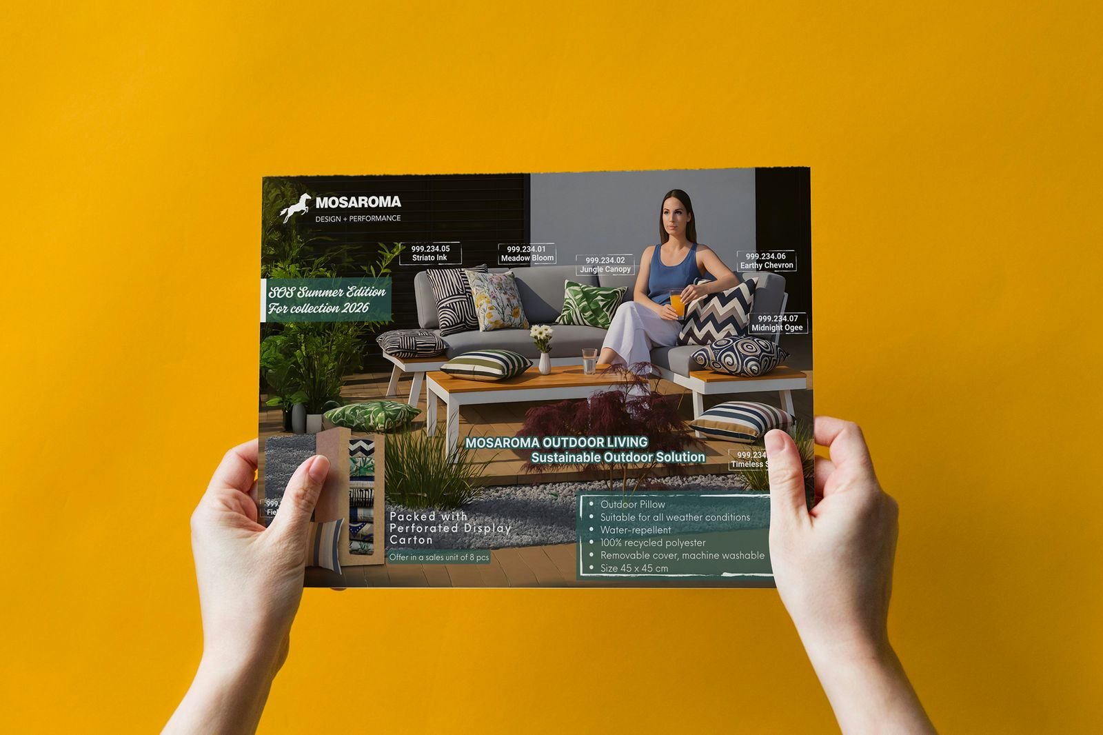 Brochure & Catalogue — 3